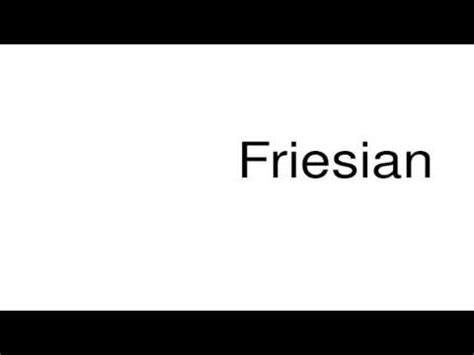 stein pronunciation|how to pronounce friesian.